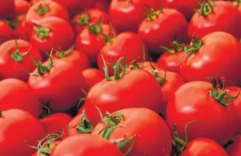 خرید رب گوجه بدون نمک با قیمت استثنایی